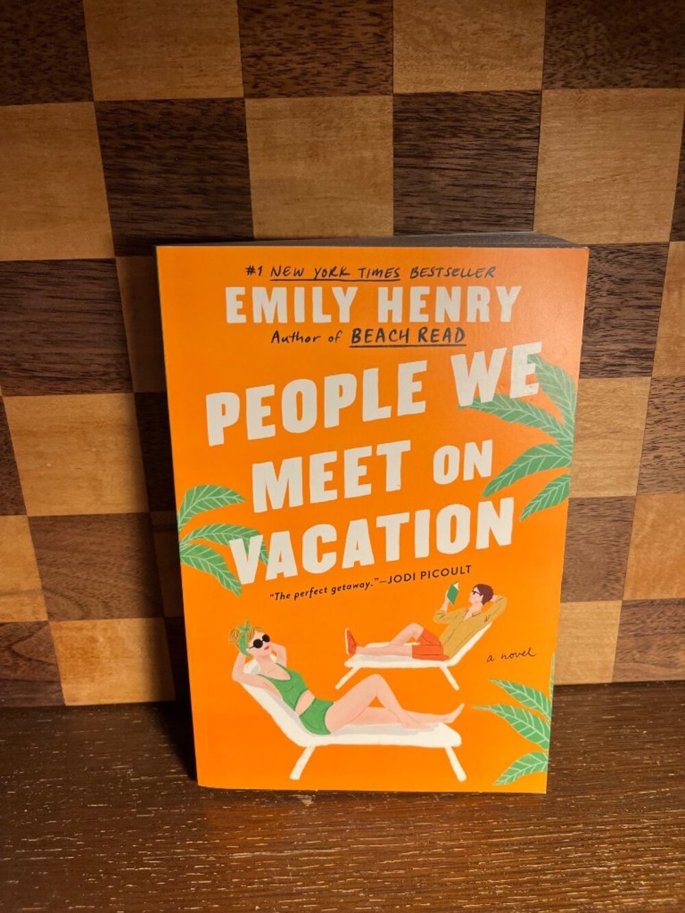 People We Meet on Vacation Book A327